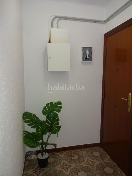 Foto def680e9-6314-4630-9814-f9c813049606. Pis a Rocafonda Mataró