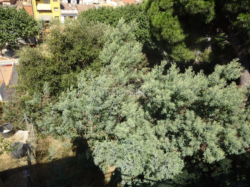 Foto 32a27223-cbd2-4246-9437-b8a7b2cace0f. Casa adossada amb calefacció a Arenys de Munt