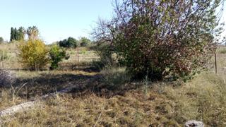 Residential Plot in Centro. Se vende parcela rústica en el llano de molina