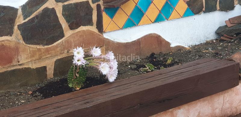 Foto 4a9b336f-6cae-4492-b93d-44bf26aa5f5f. Alquiler casa en calle gascones 3 espectacular finca rústica en alquiler de larga temporada , málaga en Coín