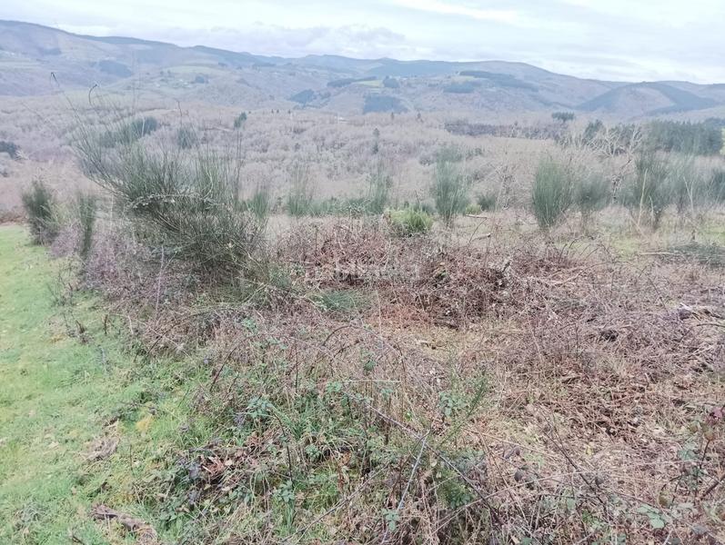 Foto 1f4a024e-1f39-43fd-a204-14c8959557a8. Mas dans Becerreá