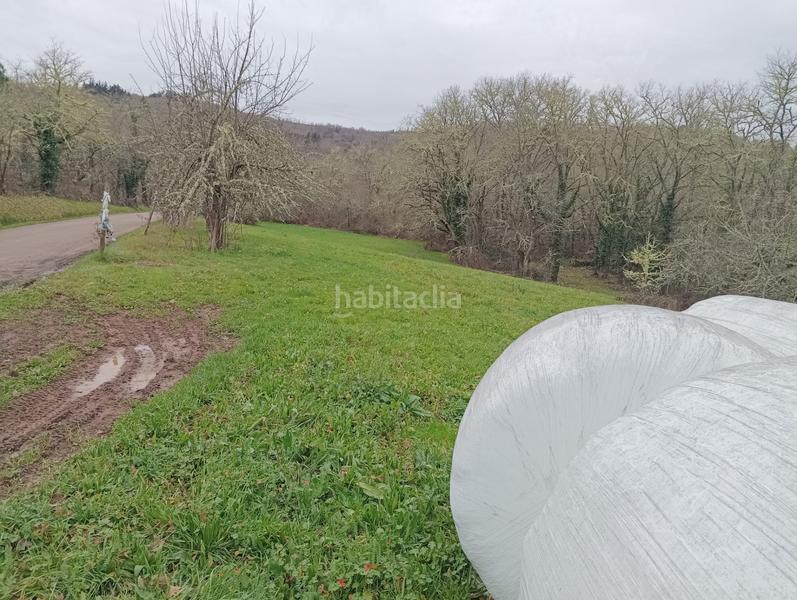 Foto 3b5c9fc3-7083-4521-b141-24064d9f86a9. Mas dans Becerreá