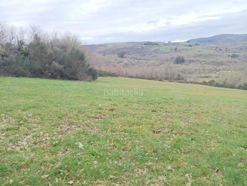 Foto 60c0a281-f1ee-4ed9-a4cd-cd9f978e8e53. Mas dans Becerreá