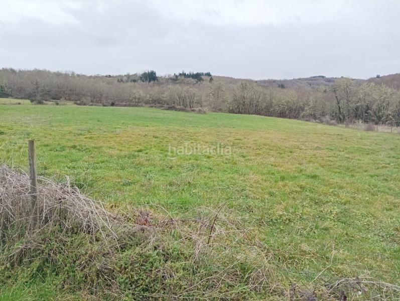 Foto 7b18198c-bc21-4ca4-b381-7b6fcf7e2d7e. Mas dans Becerreá