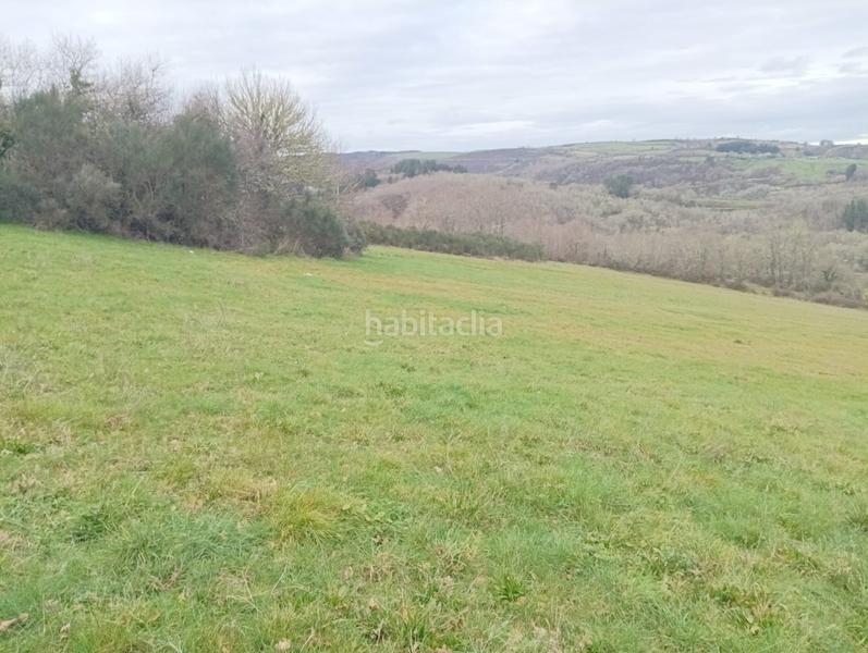 Foto a2db8326-c4ca-442a-a24e-99dd9afc229d. Mas dans Becerreá