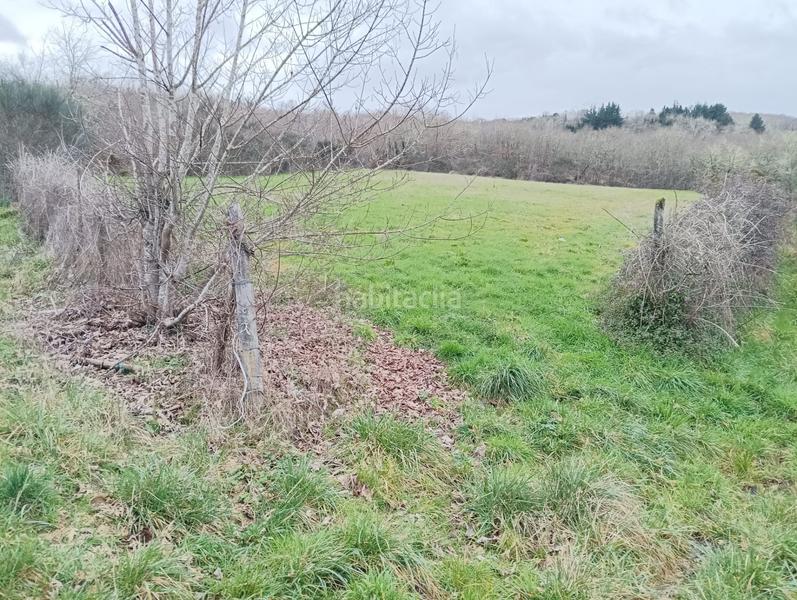 Foto abfeb3be-592f-40b0-a6aa-b8edb0341a0f. Mas dans Becerreá