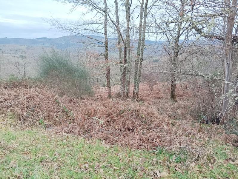 Foto c20ba01c-b76a-4237-9d8d-c76a162002fd. Mas dans Becerreá