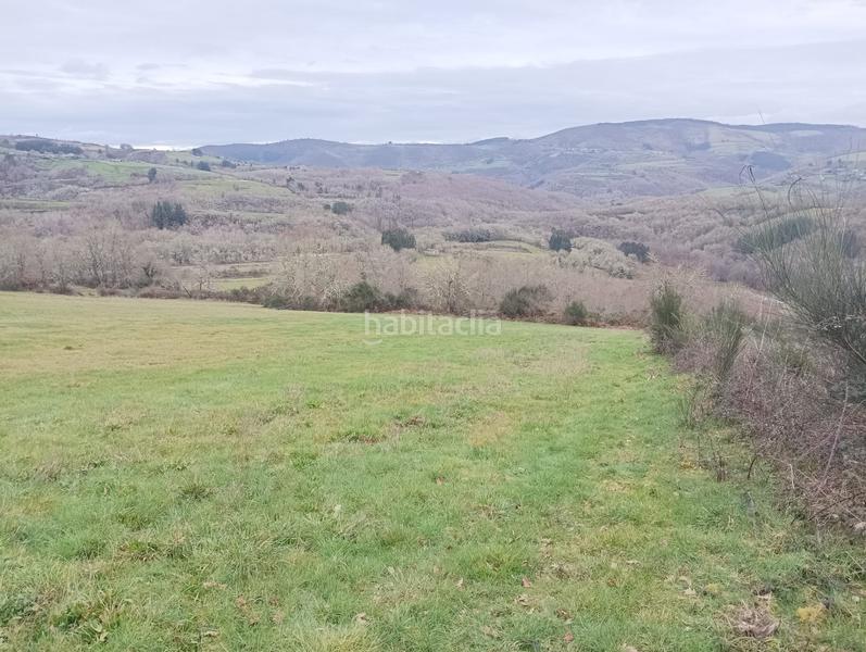 Foto cbf093c7-c34a-4c7a-91f0-98c0258f5874. Mas dans Becerreá