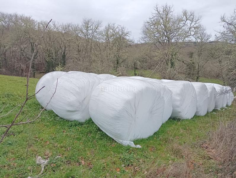 Foto cee10750-7768-4243-9e73-8a3ec066cadd. Mas dans Becerreá