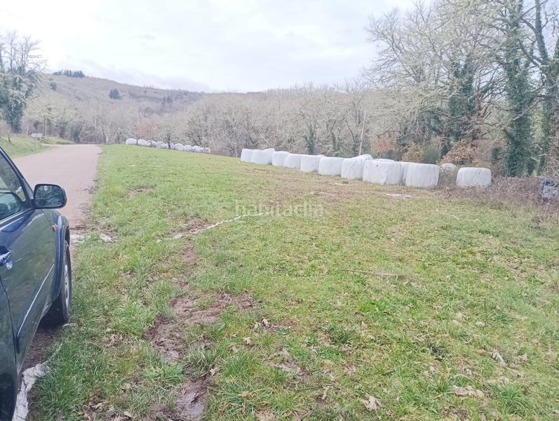 Foto b8153215-06d0-47cd-9538-fb0f1cd93856. Masía casa y fincas 100.000 metros cuadrados en Becerreá