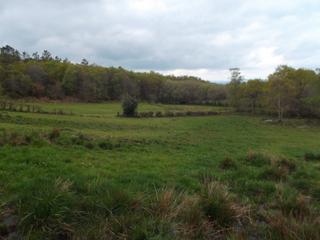 Fondo rustico in San Roque - As Fontiñas. Finca agrícola ganadera