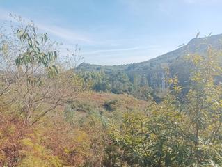 Fondo rustico in Parroquias Rurales. Finca 13 hectáreas en culleredo, a coruña