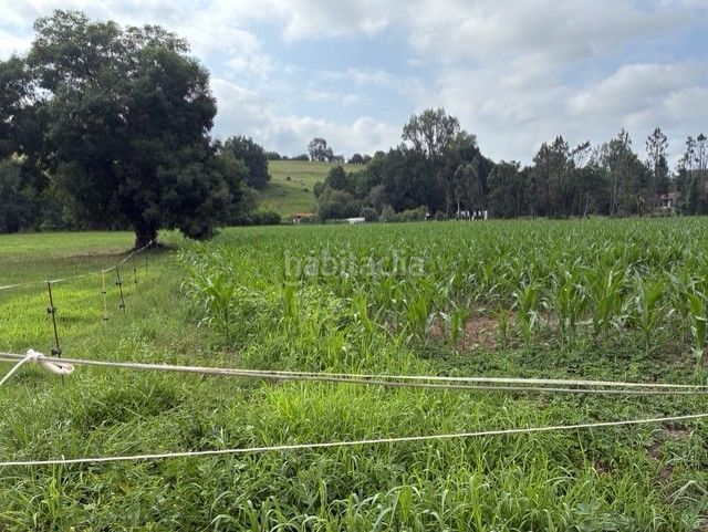 Foto 7a741c1f-b385-44d2-98ed-4e434784bf01. Landgut in Cabezón de la Sal