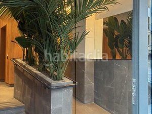 Foto 80100a92-b968-4c49-a9e9-51c82bd61e3f. Pis a kale barria 1 a Las Arenas Getxo