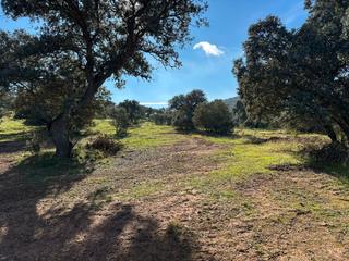 Finca rústica a Plaza calderón de la barca 51. Finca de 78 ha para labor en zalamea de la serena (badajoz)