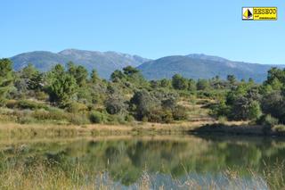 Propriété à Villanueva de la Vera. Preciosa finca 75 ha en la vera (cáceres)