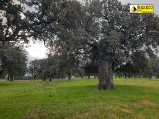 Fondo rustico in Castilblanco. Magnífica dehesa de 200 ha en el norte de badajoz