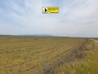 Rural plot  Calle nueva. Oportunidad finca de regadío en madrigalejo