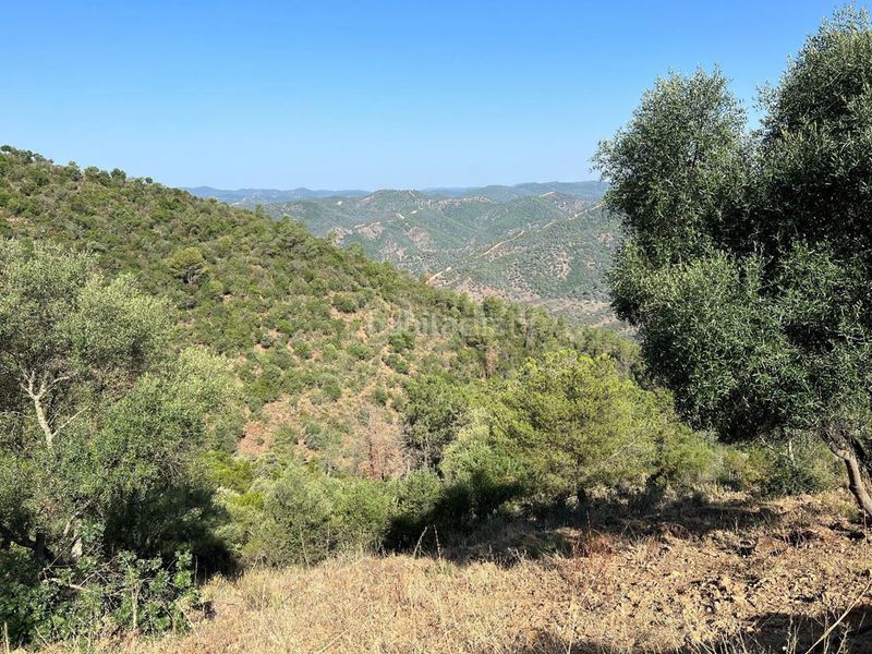 Foto c07963b0-1989-4448-9357-a8a61a81f530. Finca rústica a Fuensanta- Arcángel Córdoba