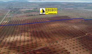 Finca rústica a Parque de la constitución 5a. Finca de olivar y viña en zona de almendralejo