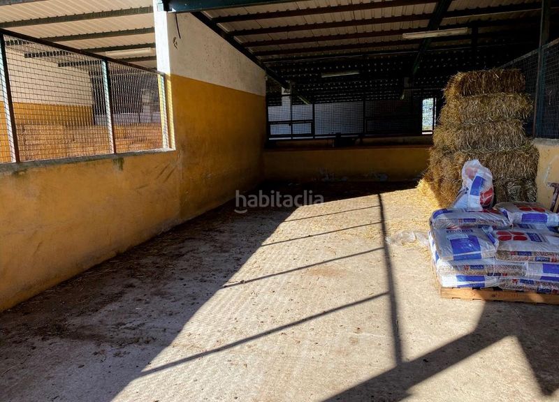 Foto 5d852c54-dafd-4fc5-b789-ad705993e768. Finca rústica a Trujillo