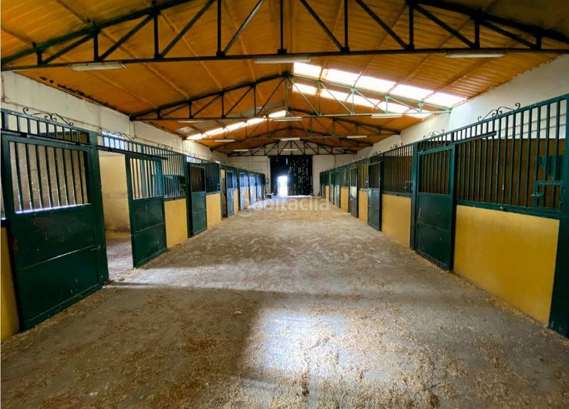 Foto a1e9bf69-165d-4897-bb57-fb303977a16f. Finca rústica a Trujillo