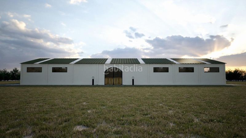 Foto a52e9878-1ca4-4bed-8a59-889b865360f9. Finca rústica a Trujillo