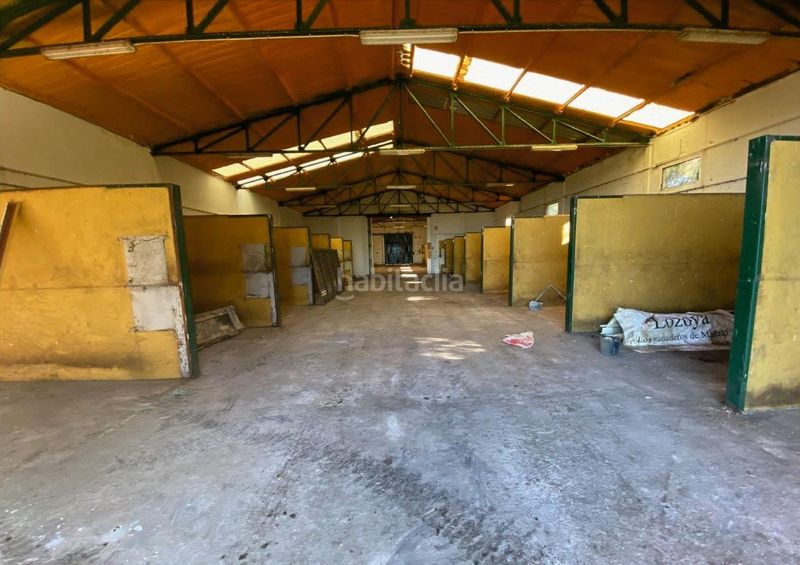 Foto b9a93f86-a1d1-484a-a445-ebccc509af94. Finca rústica a Trujillo