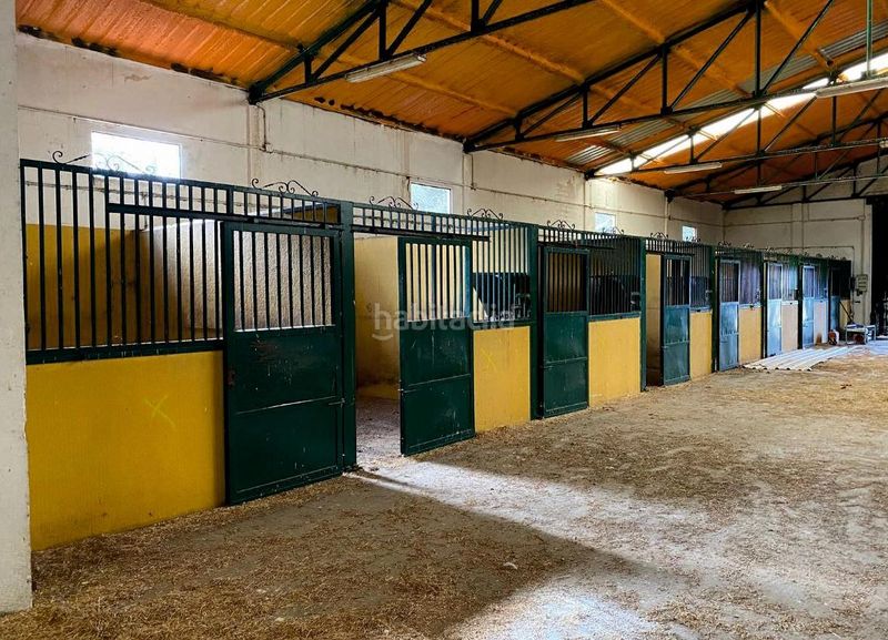 Foto be90f4cb-8ff1-4843-8407-943bb09887ae. Finca rústica a Trujillo