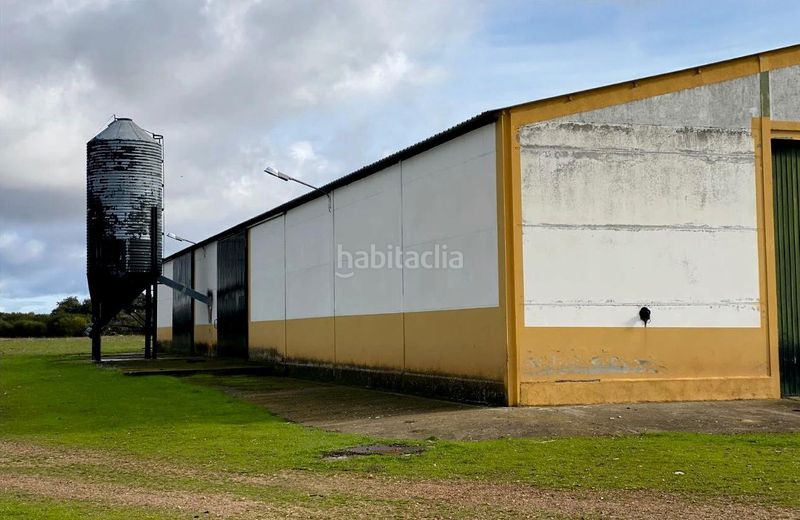 Foto da830e84-6dcb-4cf0-9d2b-8dd16dc829f5. Finca rústica a Trujillo