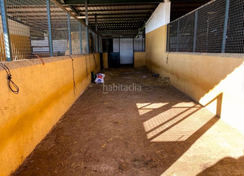 Foto ea13ae45-aaf7-46b1-bfc8-16bfc2e400ca. Finca rústica a Trujillo