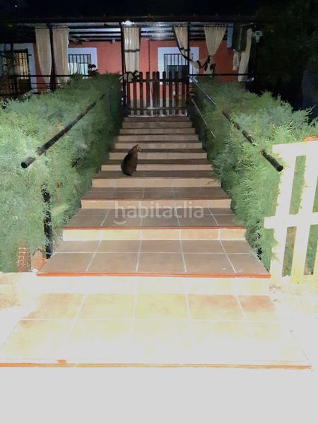 Foto 1fe3d2fe-45b9-4ca5-b564-b60659eba5f8. Xalet amb xemeneia piscina a Logrosán