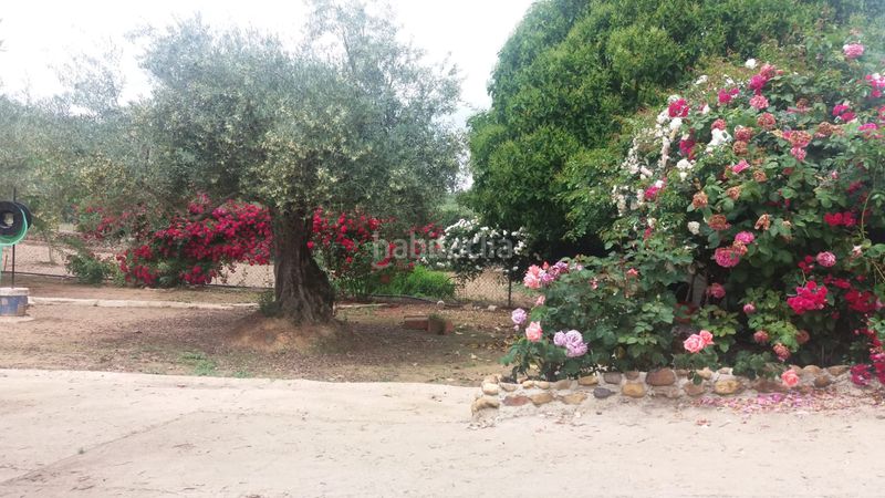 Foto 78b00ee9-b86c-4fc9-bf9e-61bb673b8c94. Xalet amb xemeneia piscina a Logrosán