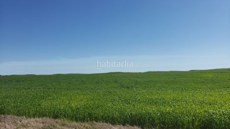 Foto cae85f58-0d84-48b2-879f-c0a1ba0dcc74. Finca rústica a Villanueva de la Serena