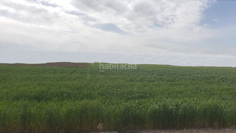 Foto f0a2fd18-bc47-4a67-a0ff-aed149b92381. Finca rústica a Villanueva de la Serena