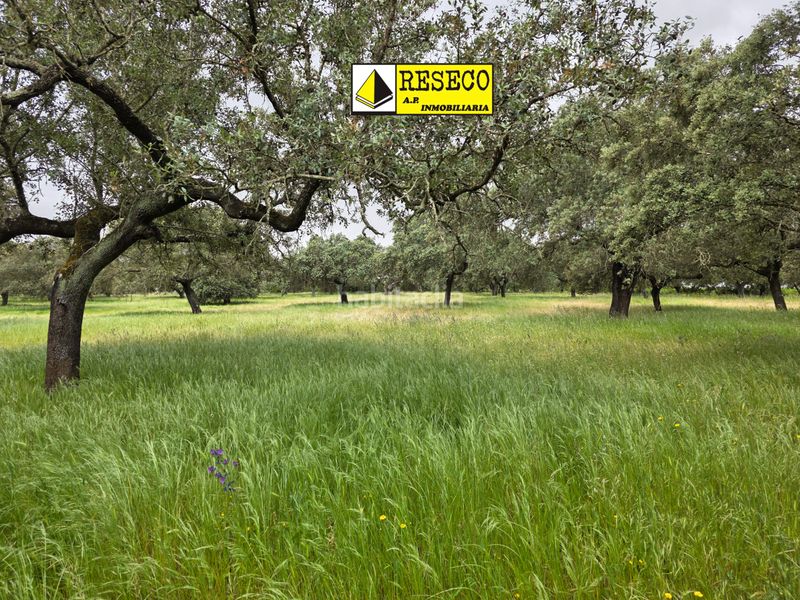 Foto 2dcd80ba-ca02-4798-9890-220b063b6b4a. Finca rústica a Olivenza