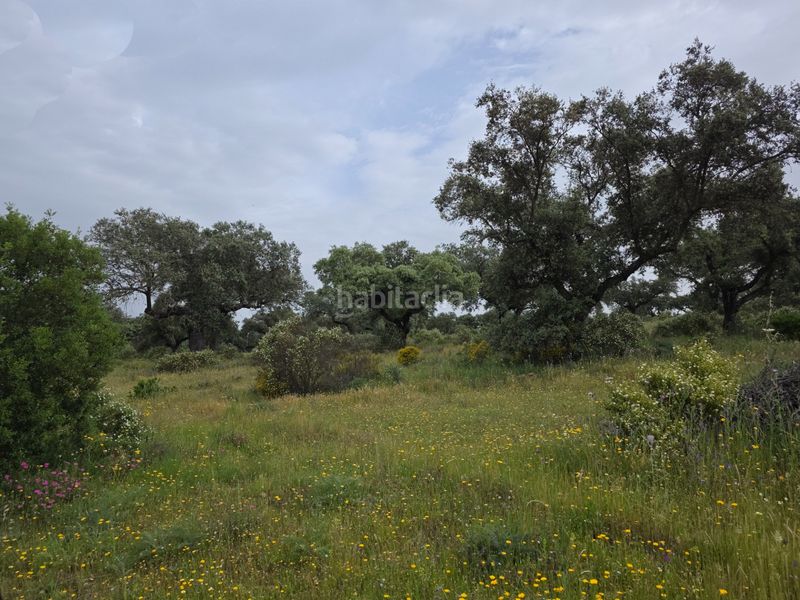 Foto a39d6f8d-d1a5-4cf5-a704-73a7177821ab. Finca rústica a Olivenza