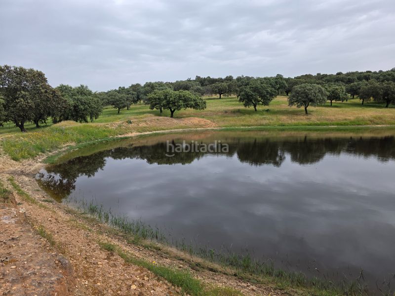 Foto b02ea213-17f3-443e-adb8-eca1848fbfbb. Finca rústica a Olivenza