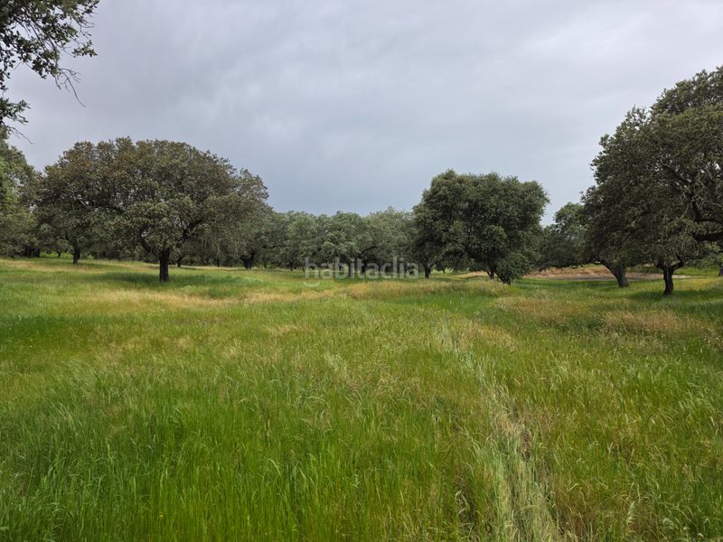 Foto f8eaff24-75b9-4e3a-a008-5cbe2b977610. Finca rústica a Olivenza