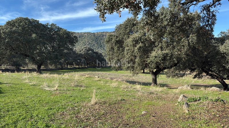 Foto 6fa30825-1e15-41df-b772-d7d6b99d5091. Finca rústica a Trujillo