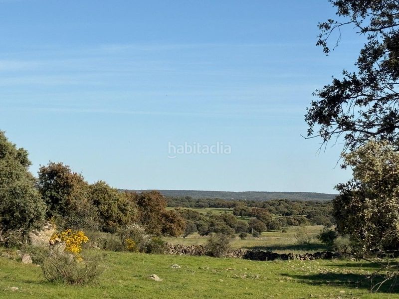 Foto 7e0b25ed-9b35-4707-a2f2-5ae7e9907d2c. Finca rústica a Trujillo