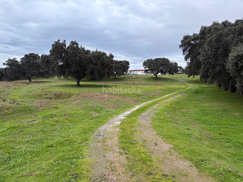 Foto d396a9d6-e04d-4259-90d5-54574b991303. Finca rústica a Trujillo