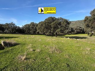 Fondo rustico in Trujillo. Preciosa finca de dehesa de encinas a 20 min de trujillo y 40 de