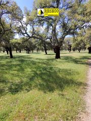 Finca rústica a La Calzada - La Florida