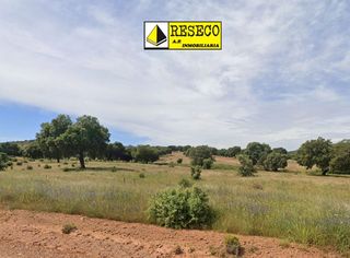 Rural plot in Villanueva de la Serena. Finca ganadera de 320 ha en el sur de extremadura
