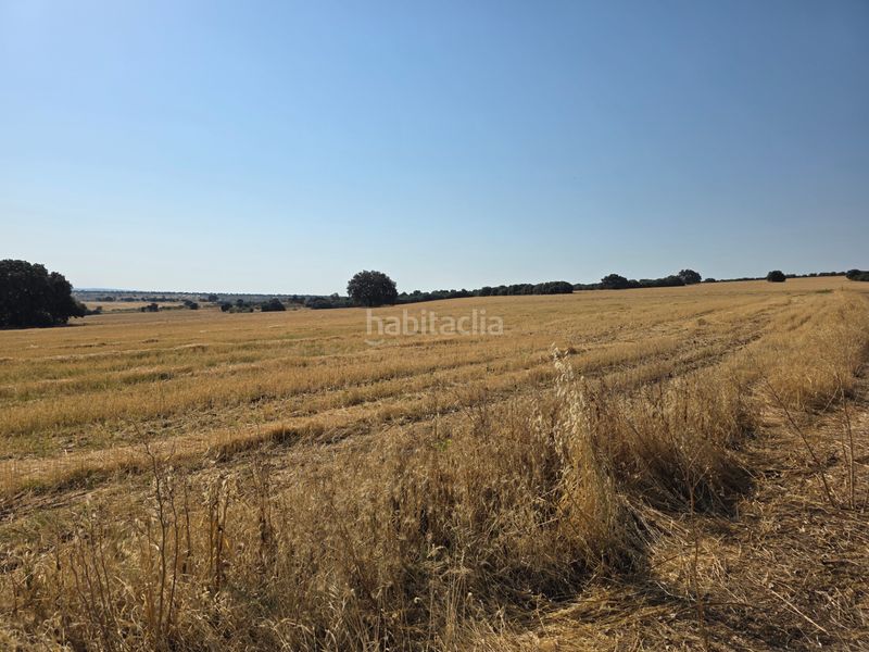 Foto 453538c4-1c84-49c5-a09d-0a5565ac75e6. Finca rústica a Villanueva de la Serena