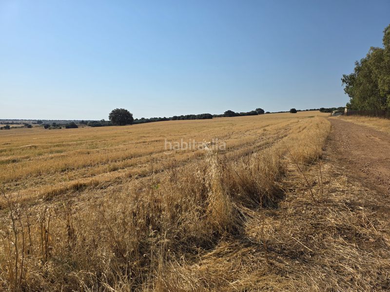 Foto 707d9332-21f9-4c6f-b0e7-4a47666c8295. Finca rústica a Villanueva de la Serena