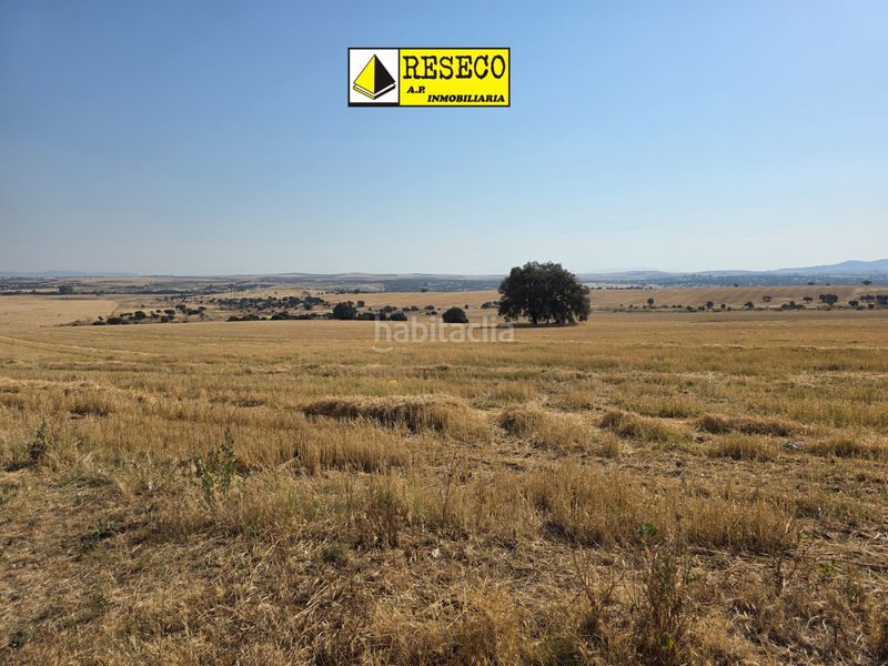 Foto b56a01f8-16cf-4b36-ab8e-77901a83d4e7. Finca rústica a Villanueva de la Serena