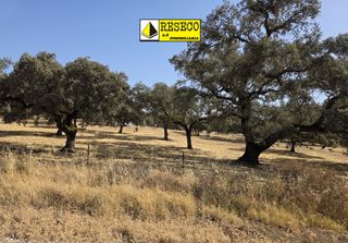 Landgut in Parque María Luisa -Giralda Sur. Dehesa de 820 ha en sierra norte de sevilla con cortijo, piscina