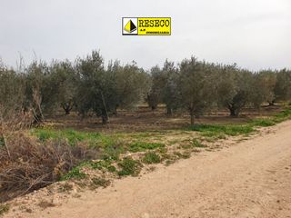 Finca rústica a Villanueva de la Serena